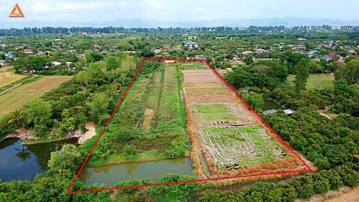 ขายที่ดิน-ตำบลหนองแฝก-อำเภอสารภี-จังหวัดเชียงใหม่