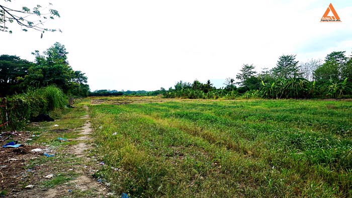 ขายที่ดิน-ตำบลหนองแฝก-อำเภอสารภี-จังหวัดเชียงใหม่