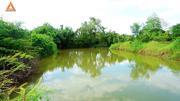 ขายที่ดิน-ตำบลหนองแฝก-อำเภอสารภี-จังหวัดเชียงใหม่