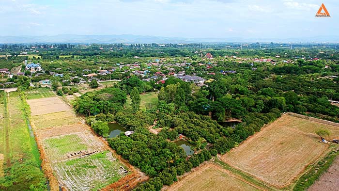 ขายที่ดิน-ตำบลหนองแฝก-อำเภอสารภี-จังหวัดเชียงใหม่