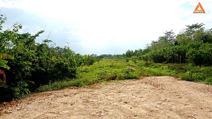 ขายที่ดิน-ตำบลหนองแฝก-อำเภอสารภี-จังหวัดเชียงใหม่