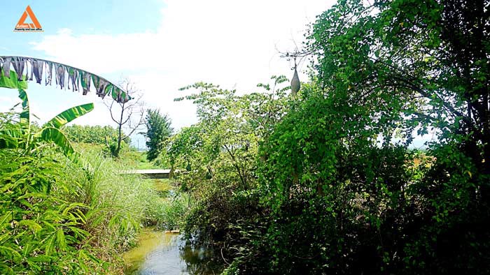 ขายที่ดินราคาถูก-ตำบลแม่แฝก-อำเภอสันทราย-รีบตัดสินใจเป็นเจ้าของ-ช้าเพียงนิดท่านอาจต้องเสียดาย