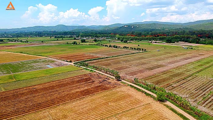 ขายที่ดินราคาถูก-ตำบลแม่แฝก-อำเภอสันทราย-รีบตัดสินใจเป็นเจ้าของ-ช้าเพียงนิดท่านอาจต้องเสียดาย