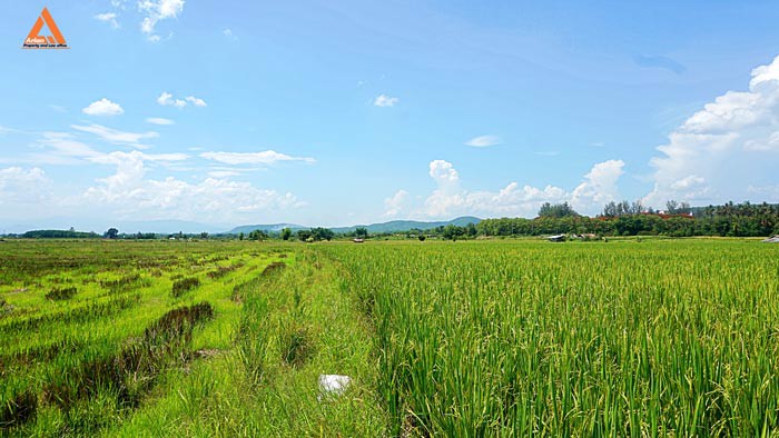 ขายที่ดินราคาถูก-ตำบลแม่แฝก-อำเภอสันทราย-รีบตัดสินใจเป็นเจ้าของ-ช้าเพียงนิดท่านอาจต้องเสียดาย