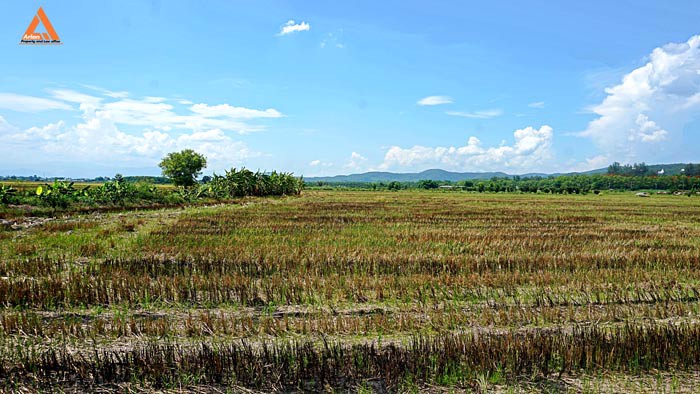 ขายที่ดินราคาถูก-ตำบลแม่แฝก-อำเภอสันทราย-รีบตัดสินใจเป็นเจ้าของ-ช้าเพียงนิดท่านอาจต้องเสียดาย