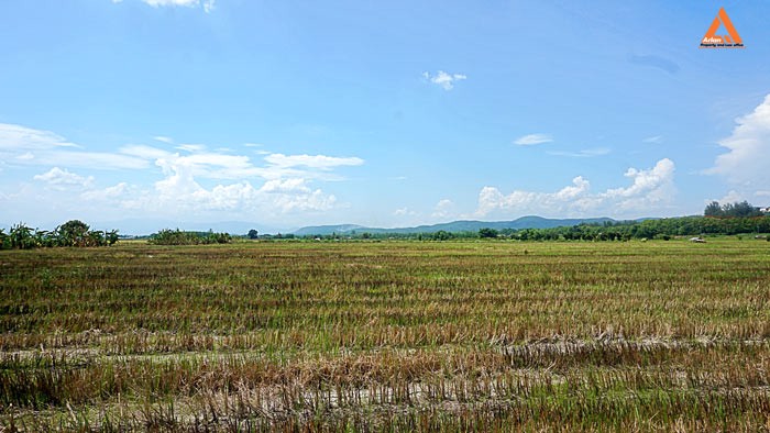 ขายที่ดินราคาถูก-ตำบลแม่แฝก-อำเภอสันทราย-รีบตัดสินใจเป็นเจ้าของ-ช้าเพียงนิดท่านอาจต้องเสียดาย