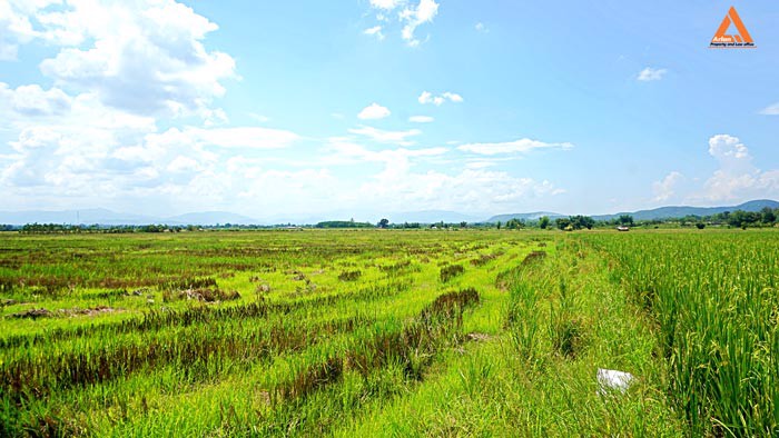 ขายที่ดินราคาถูก-ตำบลแม่แฝก-อำเภอสันทราย-รีบตัดสินใจเป็นเจ้าของ-ช้าเพียงนิดท่านอาจต้องเสียดาย