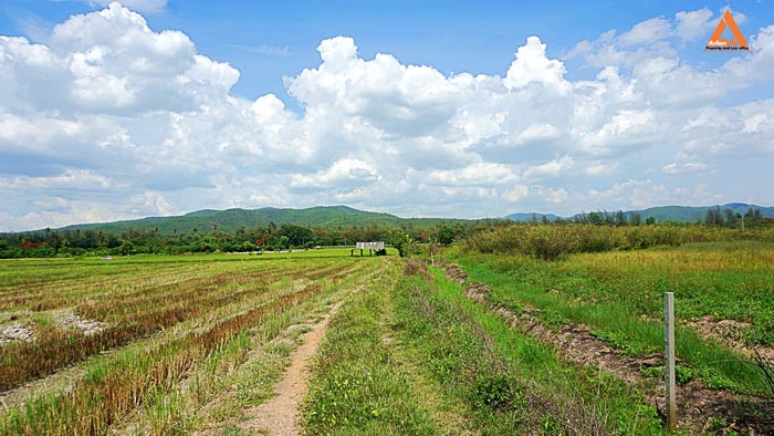 ขายที่ดินราคาถูก-ตำบลแม่แฝก-อำเภอสันทราย-รีบตัดสินใจเป็นเจ้าของ-ช้าเพียงนิดท่านอาจต้องเสียดาย