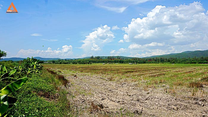 ขายที่ดินราคาถูก-ตำบลแม่แฝก-อำเภอสันทราย-รีบตัดสินใจเป็นเจ้าของ-ช้าเพียงนิดท่านอาจต้องเสียดาย