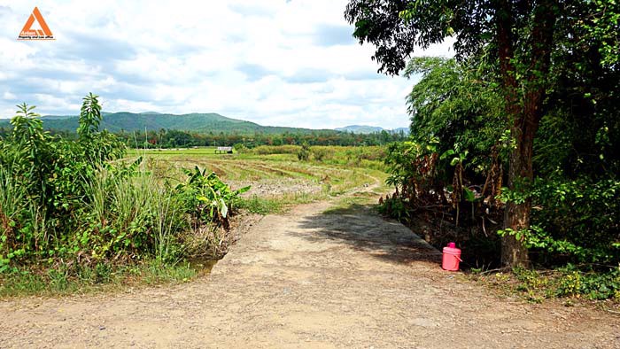 ขายที่ดินราคาถูก-ตำบลแม่แฝก-อำเภอสันทราย-รีบตัดสินใจเป็นเจ้าของ-ช้าเพียงนิดท่านอาจต้องเสียดาย