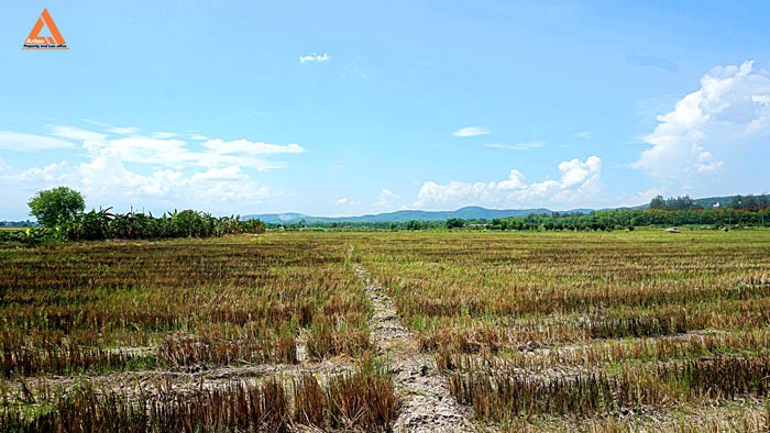 ขายที่ดินราคาถูก-ตำบลแม่แฝก-อำเภอสันทราย-รีบตัดสินใจเป็นเจ้าของ-ช้าเพียงนิดท่านอาจต้องเสียดาย