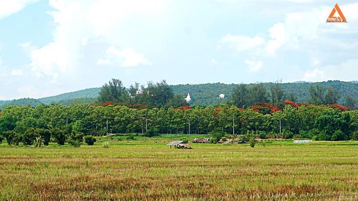 ขายที่ดินราคาถูก-ตำบลแม่แฝก-อำเภอสันทราย-รีบตัดสินใจเป็นเจ้าของ-ช้าเพียงนิดท่านอาจต้องเสียดาย