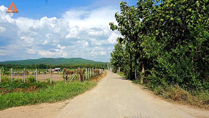 ขายที่ดินราคาถูก-ตำบลแม่แฝก-อำเภอสันทราย-รีบตัดสินใจเป็นเจ้าของ-ช้าเพียงนิดท่านอาจต้องเสียดาย