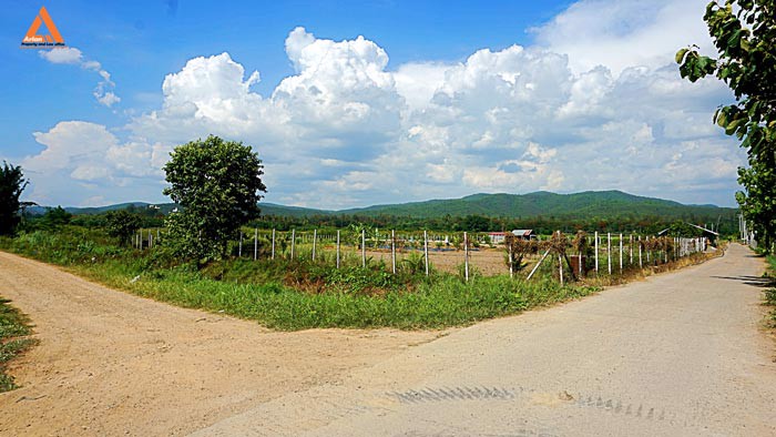 ขายที่ดินราคาถูก-ตำบลแม่แฝก-อำเภอสันทราย-รีบตัดสินใจเป็นเจ้าของ-ช้าเพียงนิดท่านอาจต้องเสียดาย