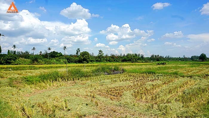 ขายที่ดิน-ตำบลแม่แฝก-อำเภอสันทราย-จังหวัดเชียงใหม่