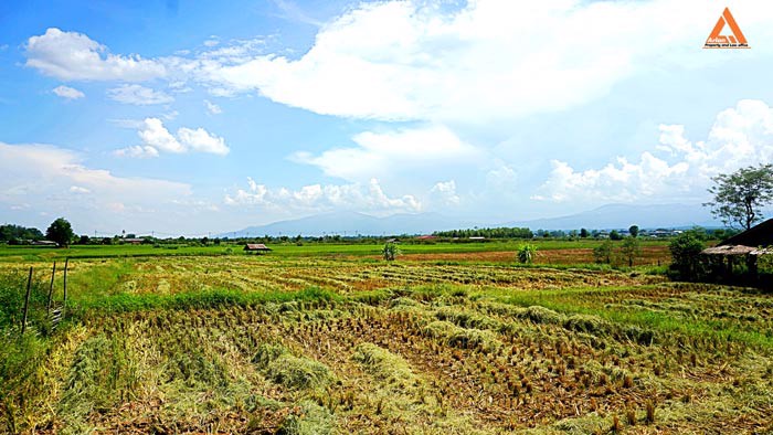 ขายที่ดิน-ตำบลแม่แฝก-อำเภอสันทราย-จังหวัดเชียงใหม่