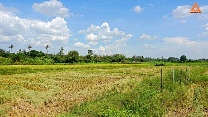 ขายที่ดิน-ตำบลแม่แฝก-อำเภอสันทราย-จังหวัดเชียงใหม่