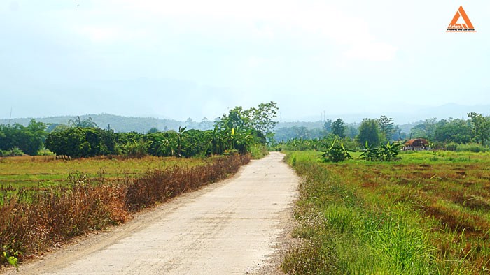 ขายที่ดิน-ตำบลแม่แฝก-อำเภอสันทราย-จังหวัดเชียงใหม่