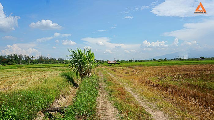 ขายที่ดิน-ตำบลแม่แฝก-อำเภอสันทราย-จังหวัดเชียงใหม่