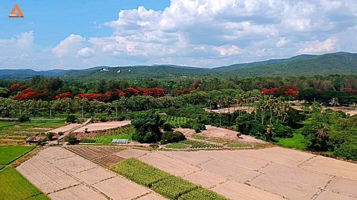 ขายที่ดิน-ตำบลแม่แฝก-อำเภอสันทราย-จังหวัดเชียงใหม่