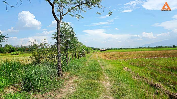 ขายที่ดิน-ตำบลแม่แฝก-อำเภอสันทราย-จังหวัดเชียงใหม่