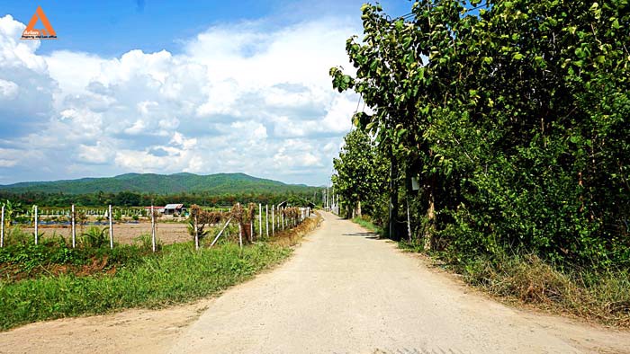 ขายที่ดิน-ตำบลแม่แฝก-อำเภอสันทราย-จังหวัดเชียงใหม่