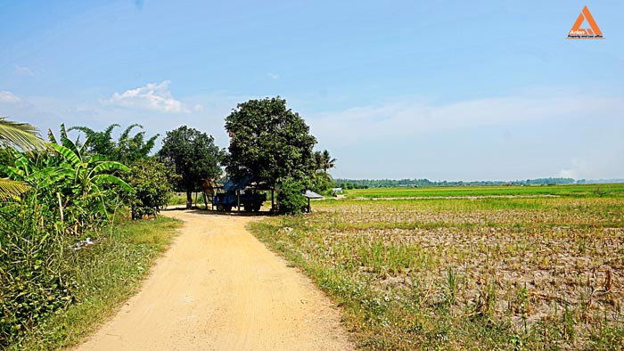 ขายที่นา-ที่ไร่-ตำบลแม่แฝก-อำเภอสันทราย-จังหวัดเชียงใหม่