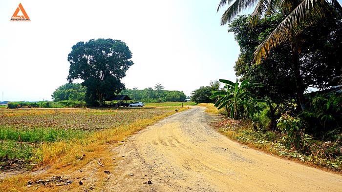 ขายที่นา-ที่ไร่-ตำบลแม่แฝก-อำเภอสันทราย-จังหวัดเชียงใหม่