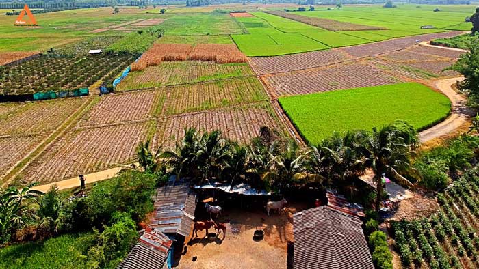 ขายที่นา-ที่ไร่-ตำบลแม่แฝก-อำเภอสันทราย-จังหวัดเชียงใหม่