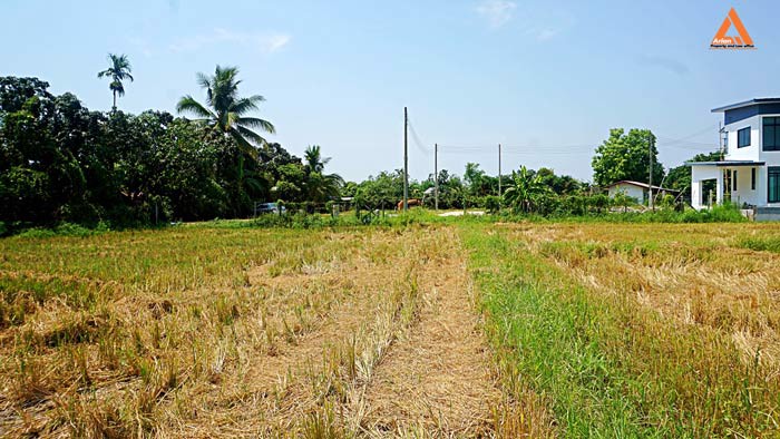 ขายที่ดิน-ตำบลเมืองเล็น-อำเภอสันทราย-เหมาะทำเป็นที่ดินจัดสรรขนาดย่อย