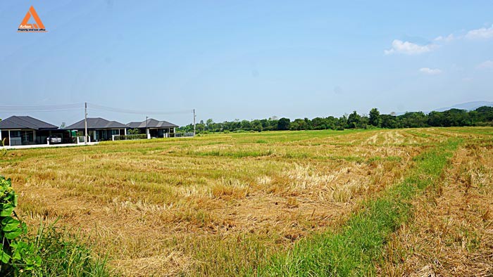 ขายที่ดิน-ตำบลเมืองเล็น-อำเภอสันทราย-เหมาะทำเป็นที่ดินจัดสรรขนาดย่อย