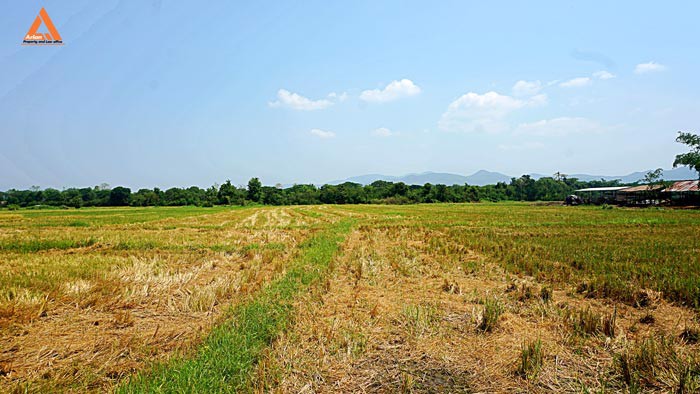 ขายที่ดิน-ตำบลเมืองเล็น-อำเภอสันทราย-เหมาะทำเป็นที่ดินจัดสรรขนาดย่อย