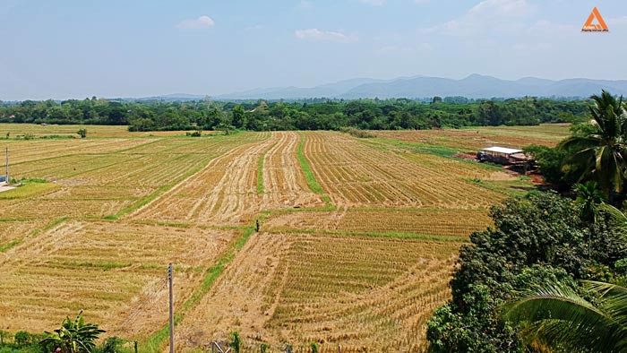 ขายที่ดิน-ตำบลเมืองเล็น-อำเภอสันทราย-เหมาะทำเป็นที่ดินจัดสรรขนาดย่อย