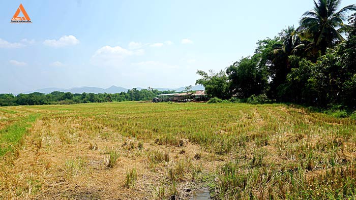 ขายที่ดิน-ตำบลเมืองเล็น-อำเภอสันทราย-เหมาะทำเป็นที่ดินจัดสรรขนาดย่อย
