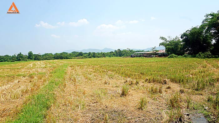 ขายที่ดิน-ตำบลเมืองเล็น-อำเภอสันทราย-เหมาะทำเป็นที่ดินจัดสรรขนาดย่อย