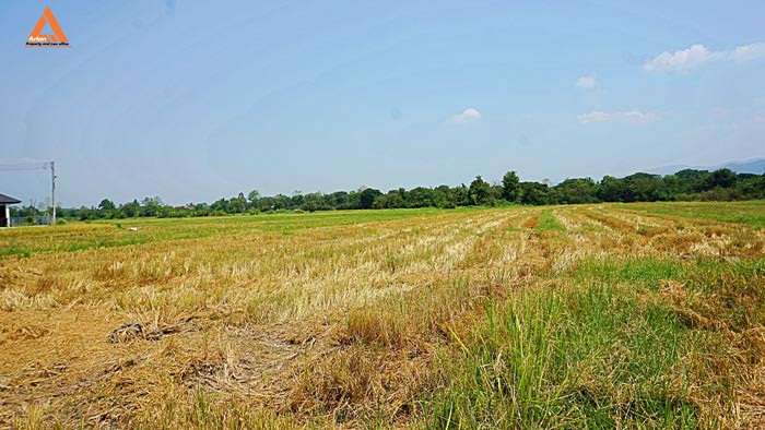 ขายที่ดิน-ตำบลเมืองเล็น-อำเภอสันทราย-เหมาะทำเป็นที่ดินจัดสรรขนาดย่อย
