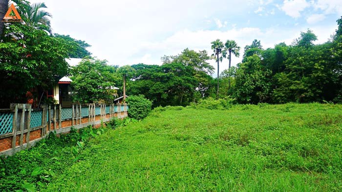 ขายที่ดิน-บริเวณกาดฝรั่ง-ตำบลบ้านแหวน-อำเภอหางดง-จังหวัดเชียงใหม่