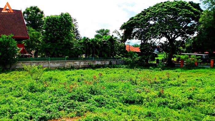 ขายที่ดิน-บริเวณกาดฝรั่ง-ตำบลบ้านแหวน-อำเภอหางดง-จังหวัดเชียงใหม่