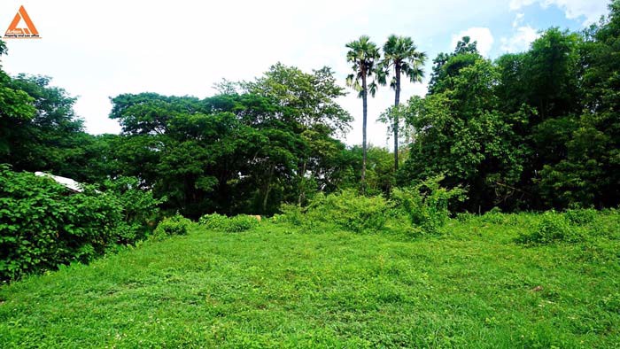 ขายที่ดิน-บริเวณกาดฝรั่ง-ตำบลบ้านแหวน-อำเภอหางดง-จังหวัดเชียงใหม่