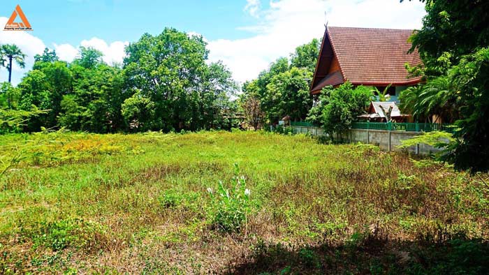 ขายที่ดิน-บริเวณกาดฝรั่ง-ตำบลบ้านแหวน-อำเภอหางดง-จังหวัดเชียงใหม่