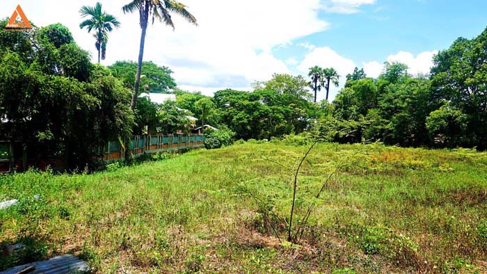 ขายที่ดิน-บริเวณกาดฝรั่ง-ตำบลบ้านแหวน-อำเภอหางดง-จังหวัดเชียงใหม่