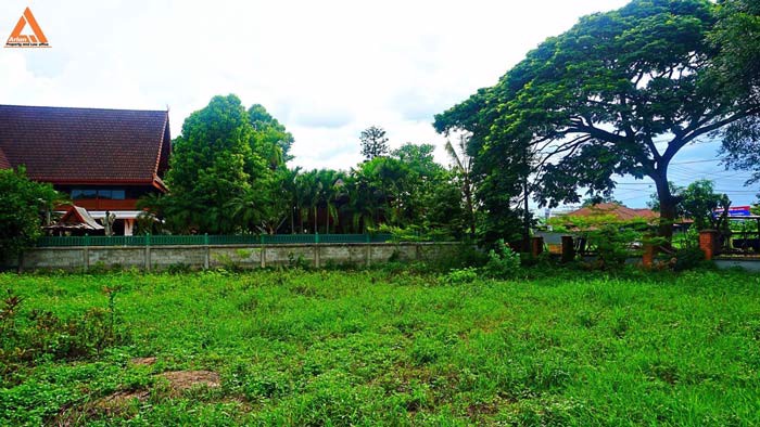 ขายที่ดิน-บริเวณกาดฝรั่ง-ตำบลบ้านแหวน-อำเภอหางดง-จังหวัดเชียงใหม่