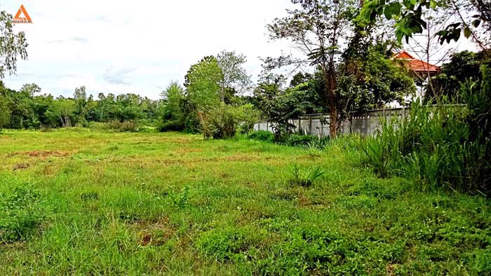 ขายที่ดิน-หลังมหาวิทยาลัยแม่โจ้-ตำบลป่าไผ่-อำเภอสันทราย-จังหวัดเชียงใหม่