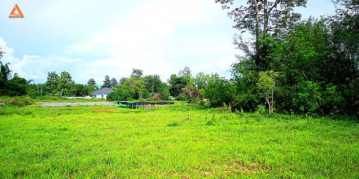 ขายที่ดิน-หลังมหาวิทยาลัยแม่โจ้-ตำบลป่าไผ่-อำเภอสันทราย-จังหวัดเชียงใหม่