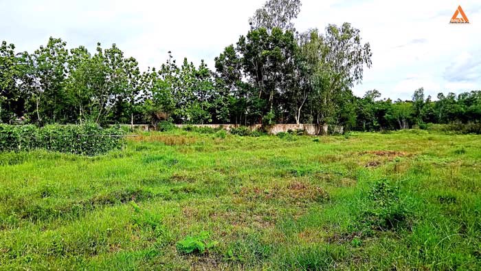 ขายที่ดิน-หลังมหาวิทยาลัยแม่โจ้-ตำบลป่าไผ่-อำเภอสันทราย-จังหวัดเชียงใหม่