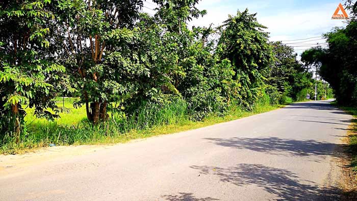 ขายที่ดิน-หลังมหาวิทยาลัยแม่โจ้-ตำบลป่าไผ่-อำเภอสันทราย-จังหวัดเชียงใหม่