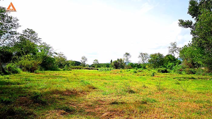 ขายที่ดิน-หลังมหาวิทยาลัยแม่โจ้-ตำบลป่าไผ่-อำเภอสันทราย-จังหวัดเชียงใหม่