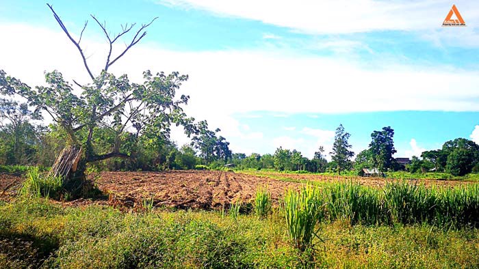 ขายที่ดิน-ตำบลสันติสุข-อำเภอดอยหล่อ-จังหวัดเชียงใหม่