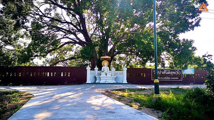 ขายที่ดิน-ตำบลสันติสุข-อำเภอดอยหล่อ-จังหวัดเชียงใหม่