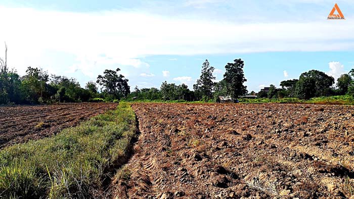 ขายที่ดิน-ตำบลสันติสุข-อำเภอดอยหล่อ-จังหวัดเชียงใหม่
